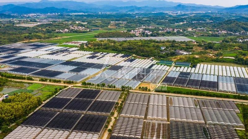 水果种植设备选购：如何根据实际需求选择品牌型号